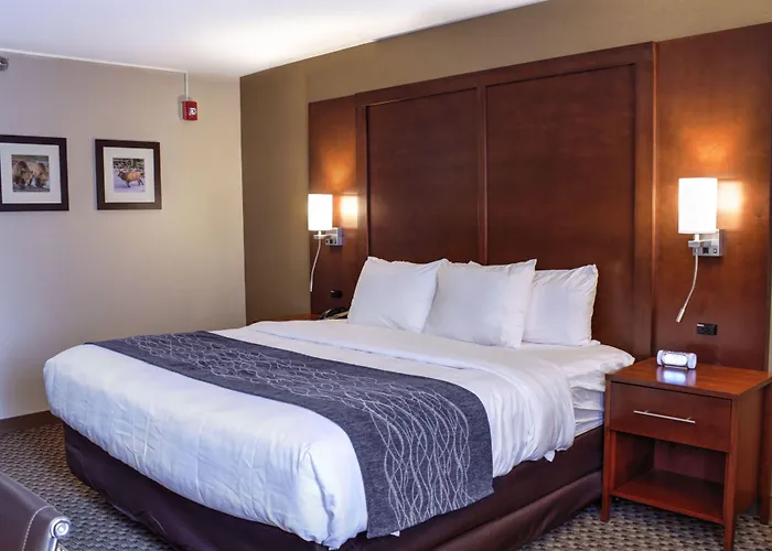 Comfort At Buffalo Bill Village Mini-hôtel 4*