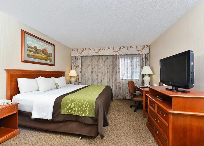 Mini-hôtel Comfort At Buffalo Bill Village Cody